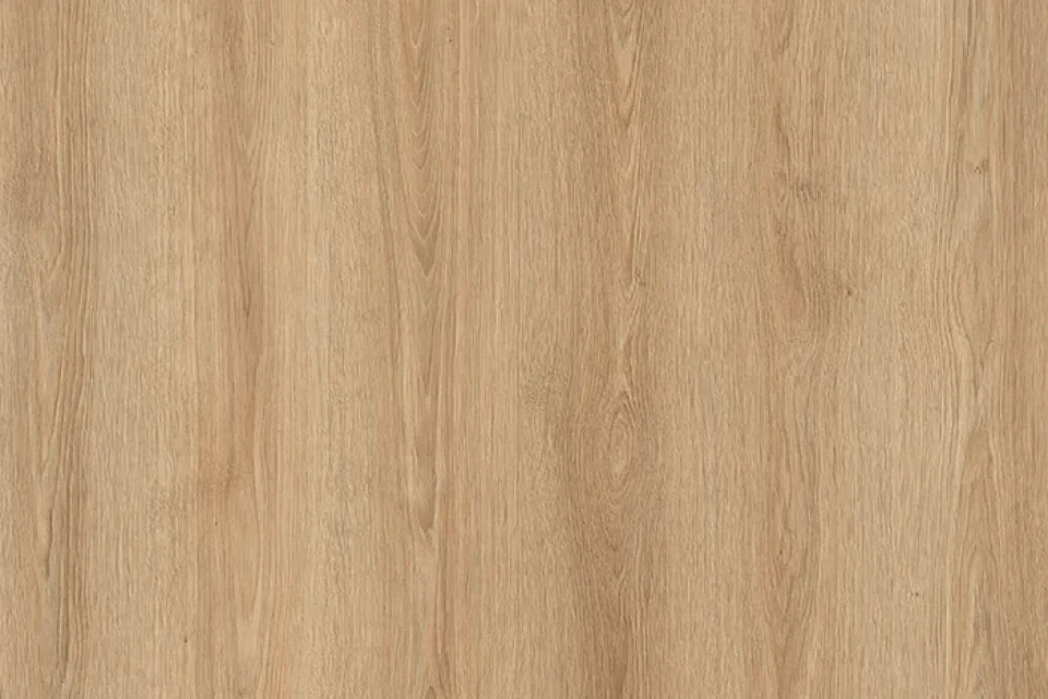 96d9baed-4296-4c5e-9c01-a56a771ff3f8